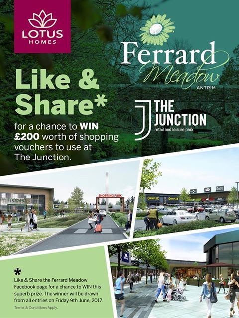 FERRARD MEADOWS | ANTRIM | COMPETITION