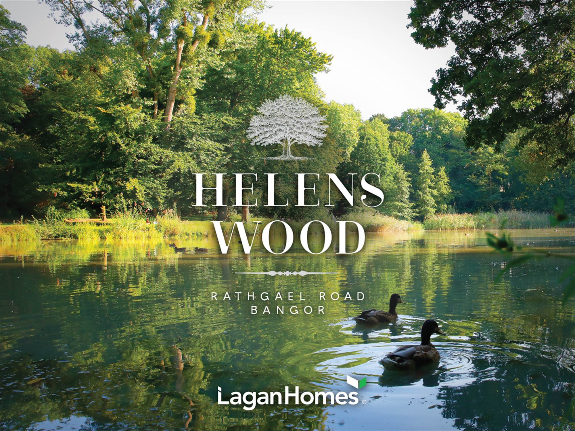 227 Helens Wood